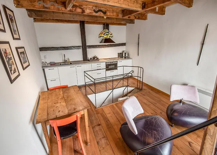 Turfhuys Aan Het Spaarne Апартаменты Гарлем